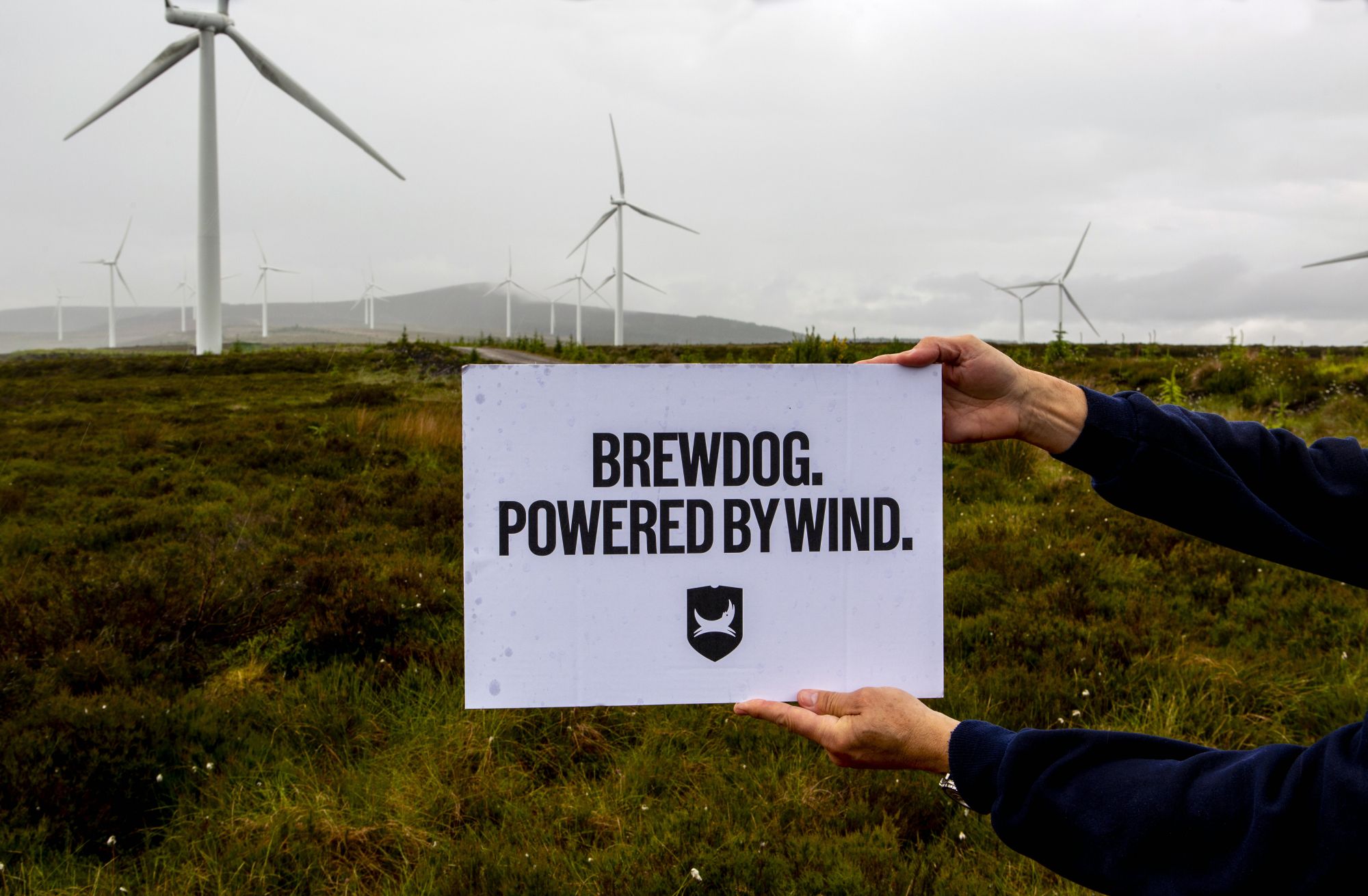 BrewDogTomorrowWindPower