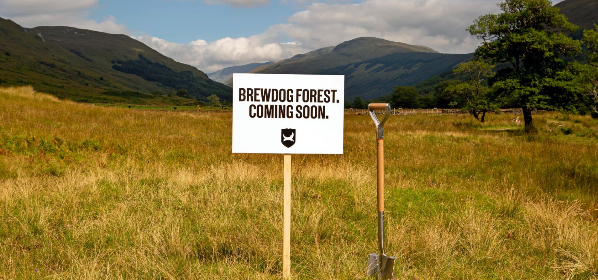 BrewDogForest