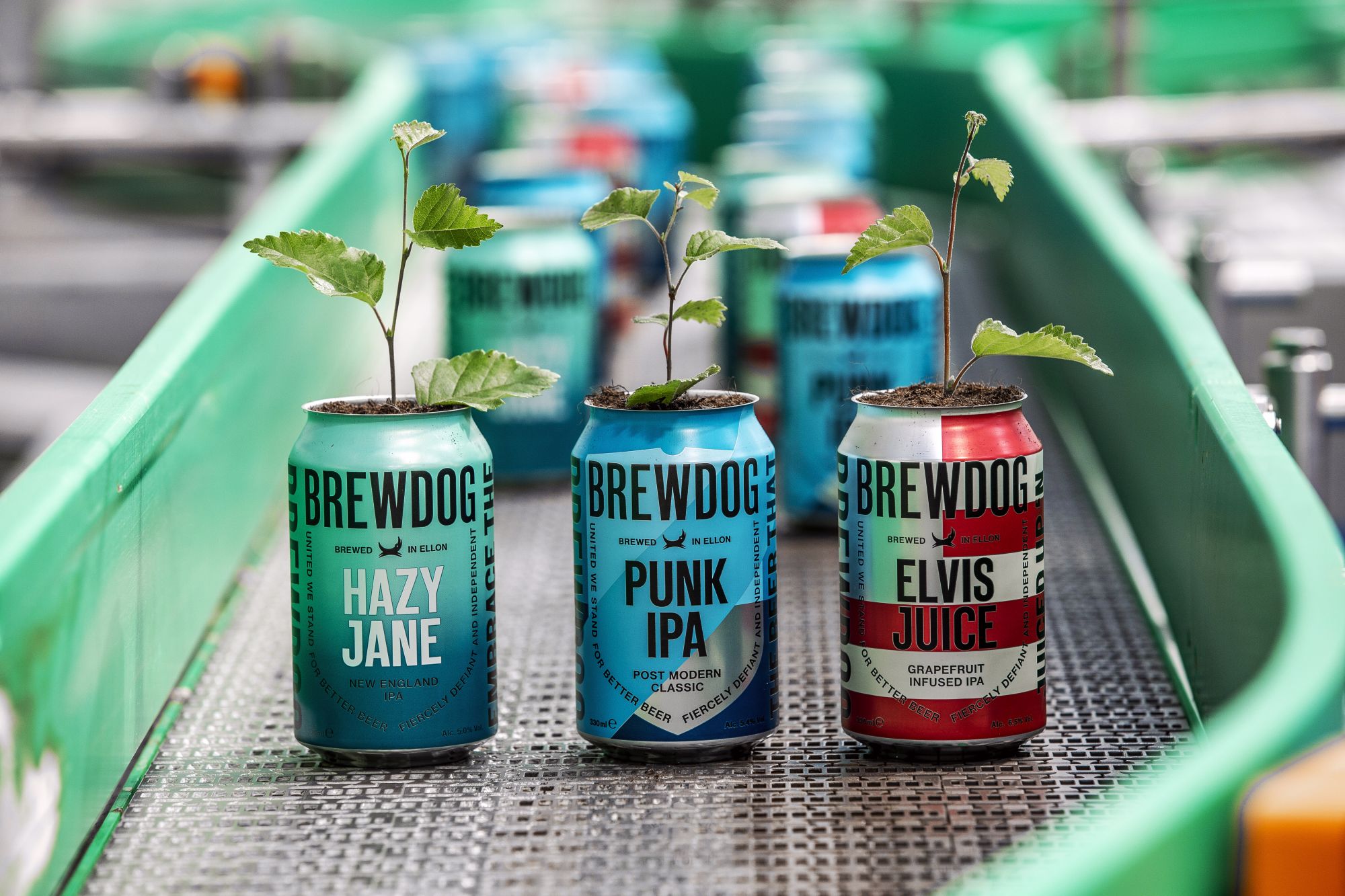 BrewDog Cans Growing Plants