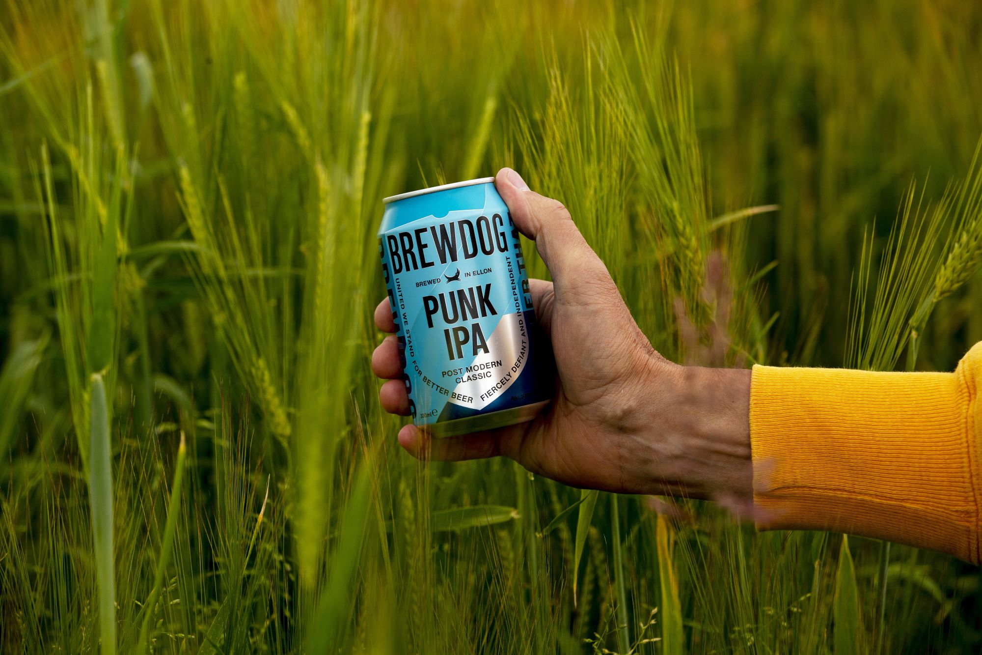 Punk IPA